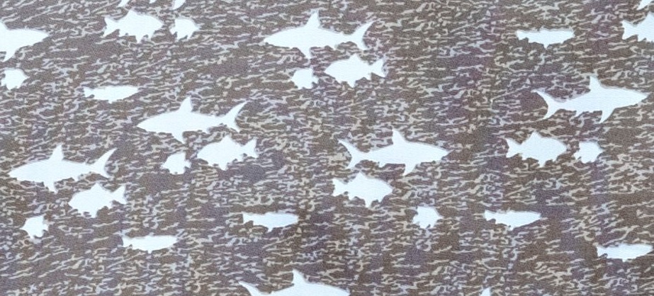 Shark 