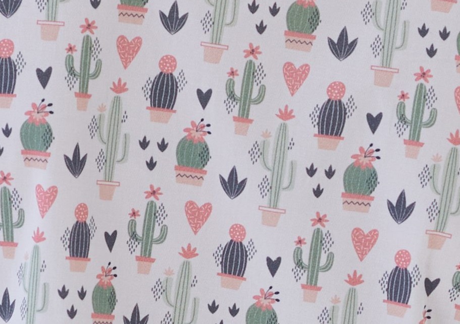 Cacti 